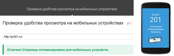 Оптимизация сайта под мобильные устройства. Проверка пройдена успешно!