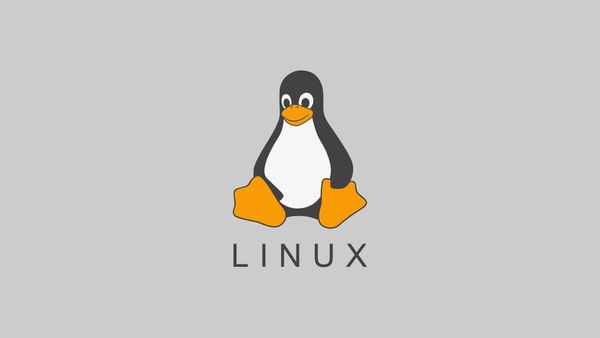 Как проверить доступность порта в Ubuntu/Linux?