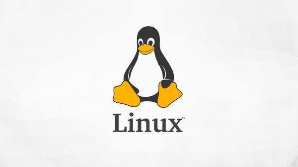 Разделы MAN Linux